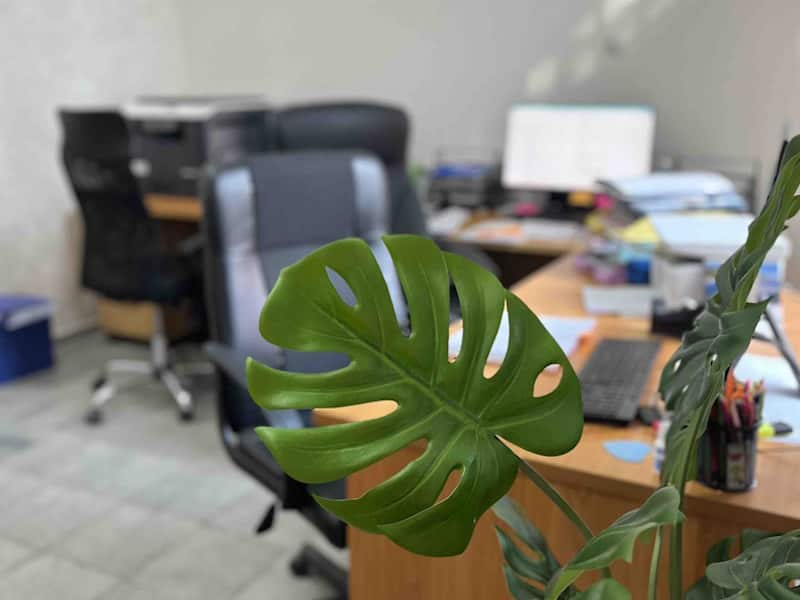 Kancelarija knjigovodstvene agencije Koncept Team u Novom Sadu